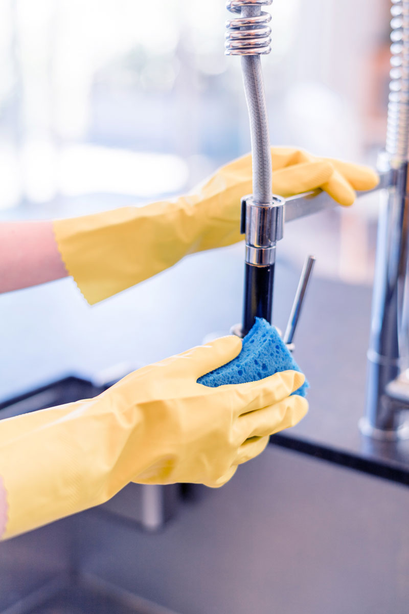 Professional Cleaning Services In Renton Wa