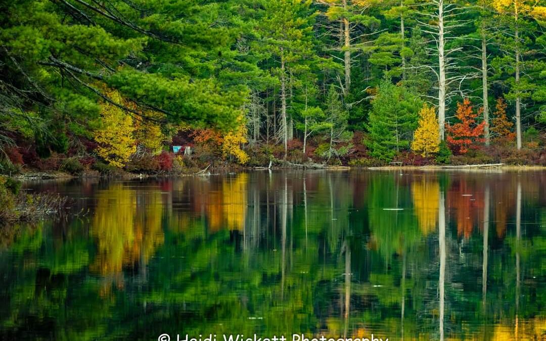 Fall in Maine: The Importance of a Clean Office for Health and Productivity