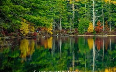 Fall in Maine: The Importance of a Clean Office for Health and Productivity